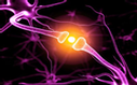 Neuronales und synaptisches Beschneiden